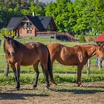 Ranch Jestřebice Hermanicky