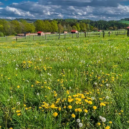 Gasthuis Ranch Jestrebice 4*