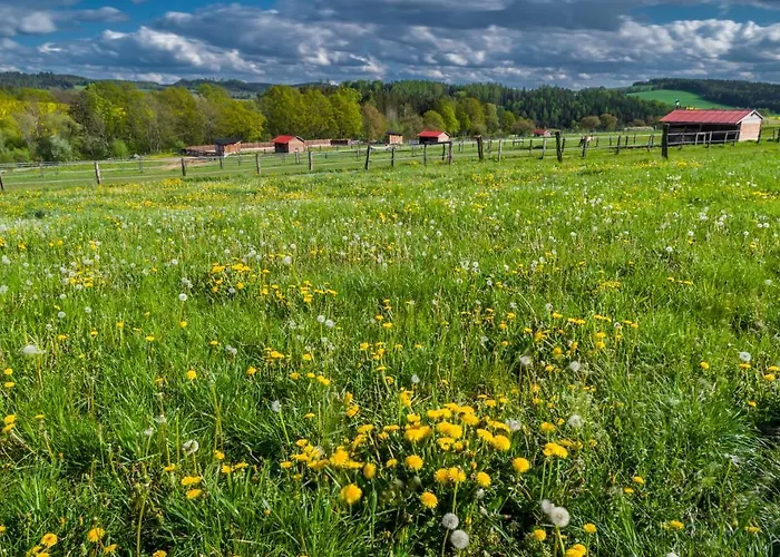 Penzion Ranch Jestřebice 4*